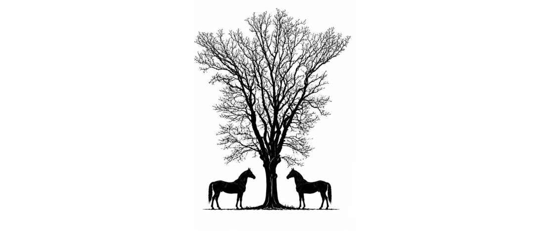 Aplikacja Seremona Equestrian